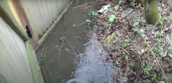 A sump pump draining into yard caused puddle next to a backyard fence.