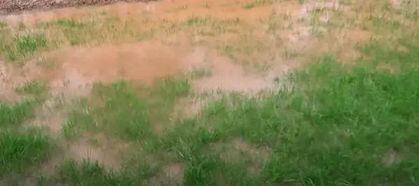 Standing water in the yard due to clay soil. Image credit Lawn Care Life