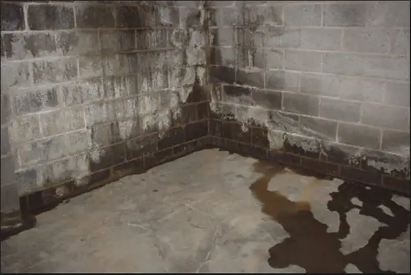 Wet oncrete block basement walls and floor.