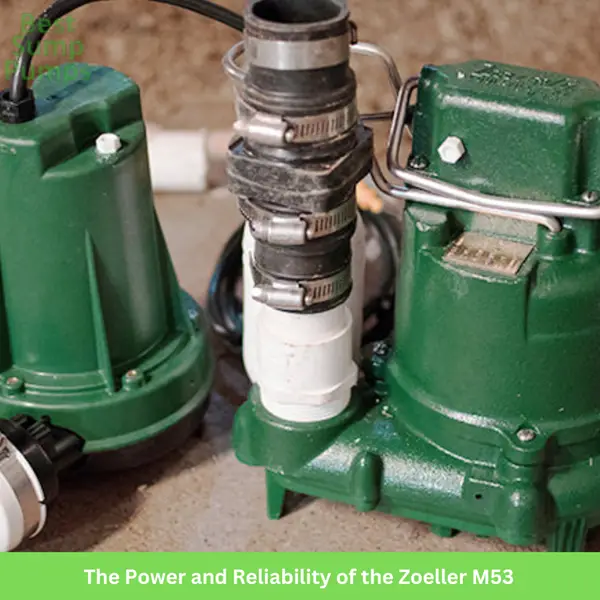 Best Sump Pumps. The Power and Reliability of the Zoeller M53