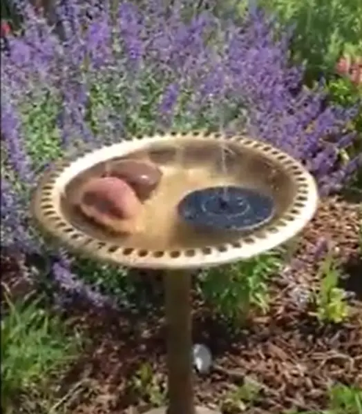 A bird bath uses a solar powered small submersible water pumps.
